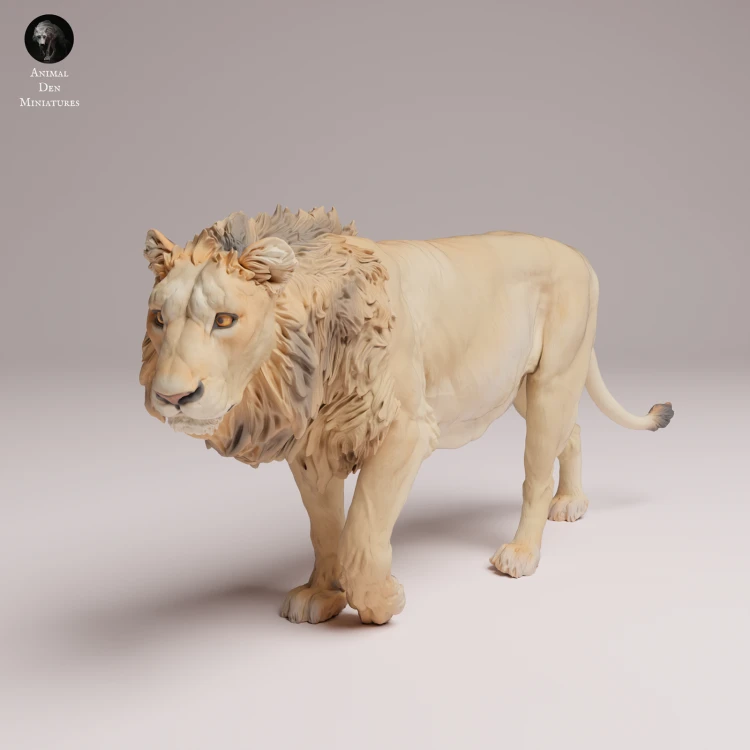 Asiatic Lion - 1.png