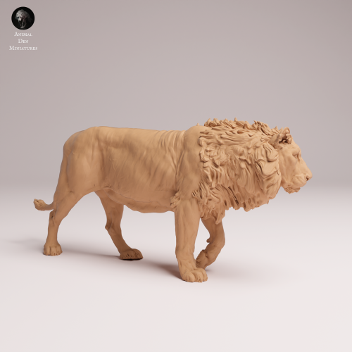 Asiatic Lion - 2.png