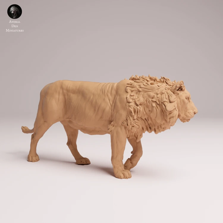 Asiatic Lion - 2.png