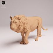 Asiatic Lion - 3.png