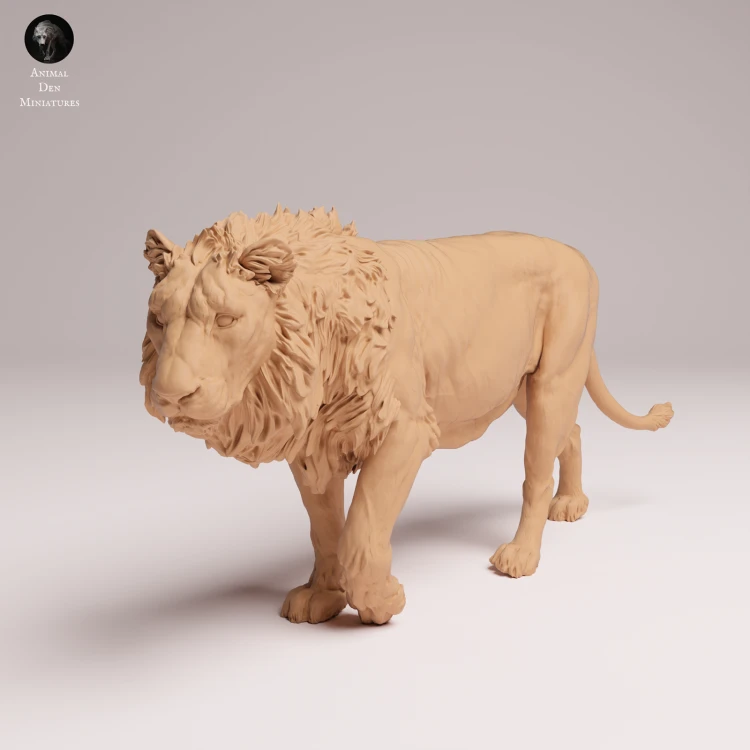 Asiatic Lion - 3.png