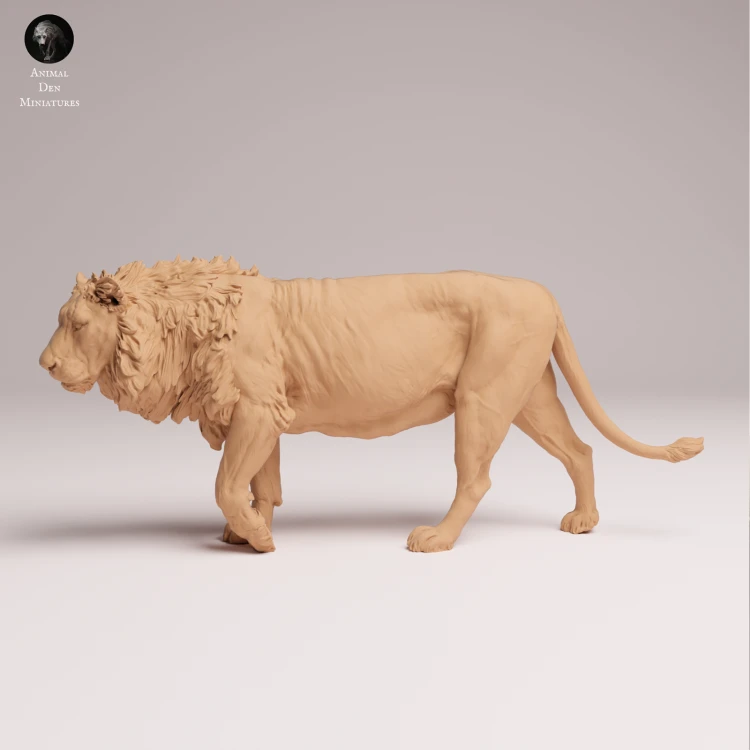 Asiatic Lion - 4.png