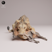 Asiatic Lion Eating - 1.png