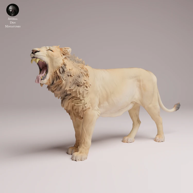 Asiatic Lion Yawning - 1.png