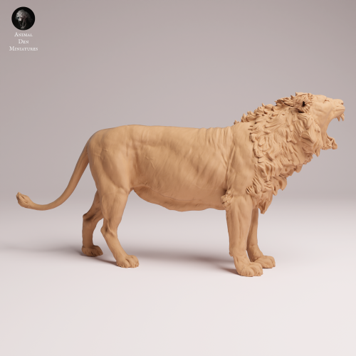 Asiatic Lion Yawning - 2.png