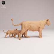 Asiatic Lioness and Cubs - 2.png