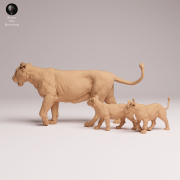 Asiatic Lioness and Cubs - 3.png