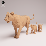 Asiatic Lioness and Cubs - 4.png