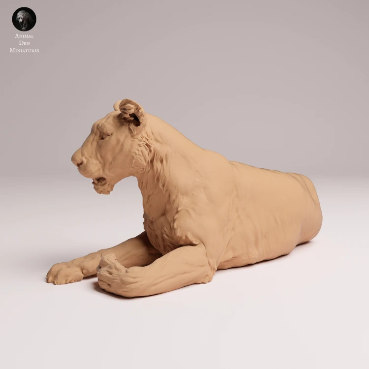 Asiatic Lioness Lying - 2.png