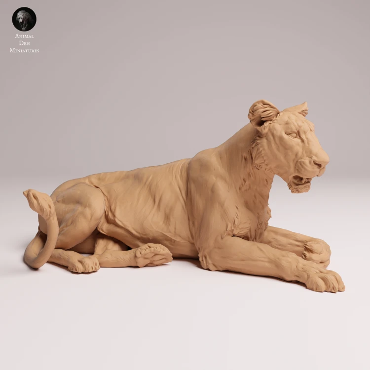 Asiatic Lioness Lying - 3.png