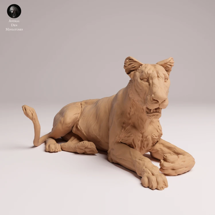 Asiatic Lioness Lying - 4.png