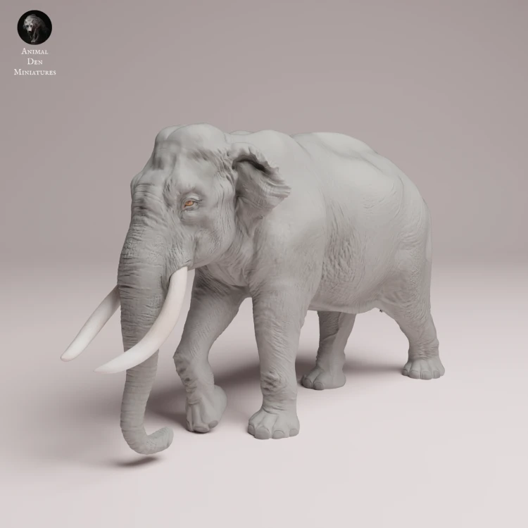 Indian Elephant Bull - 1.png