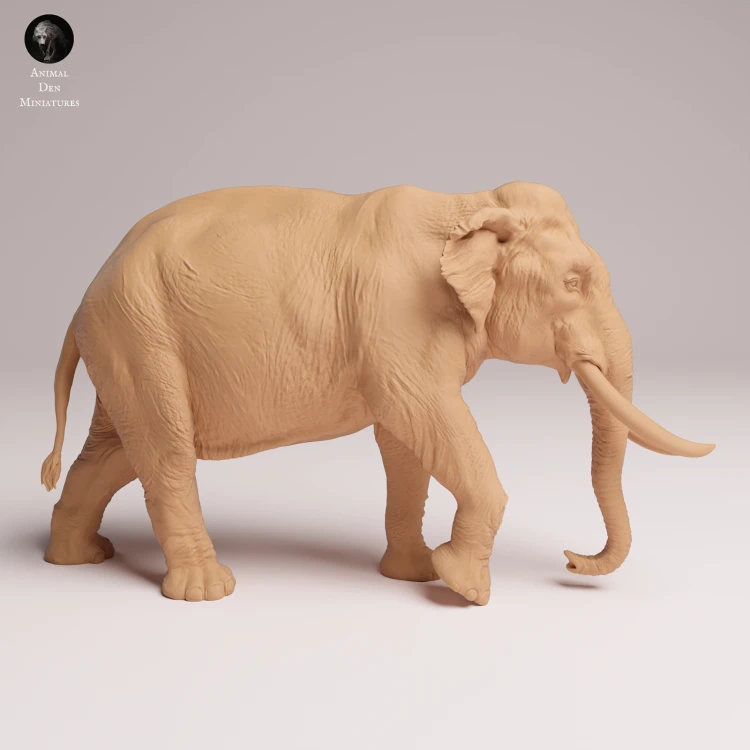 Indian Elephant Bull - 2.png