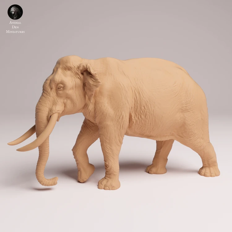 Indian Elephant Bull - 3.png
