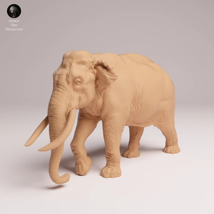 Indian Elephant Bull - 4.png