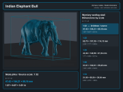 Indian Elephant Bull - 5.png