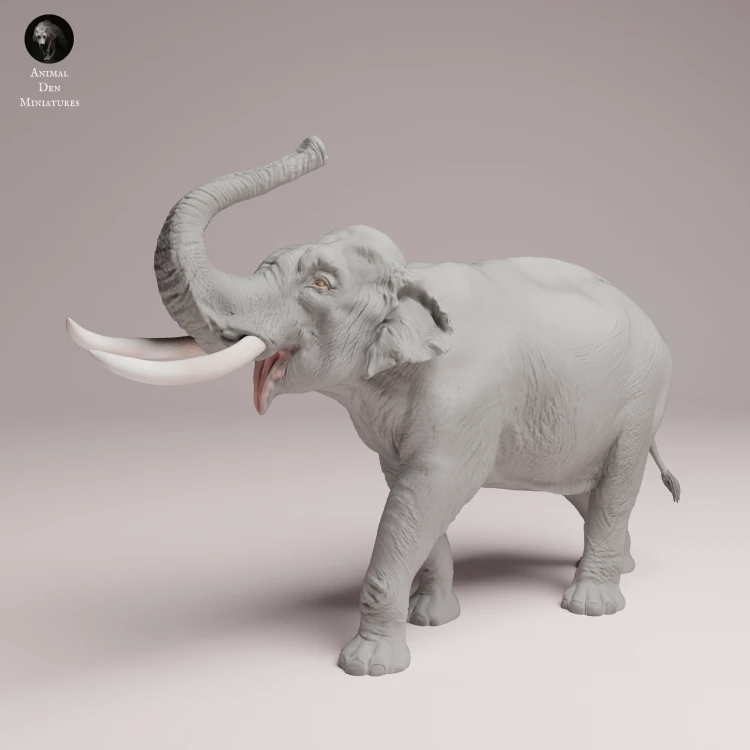 Indian Elephant Bull Showering - 1.png