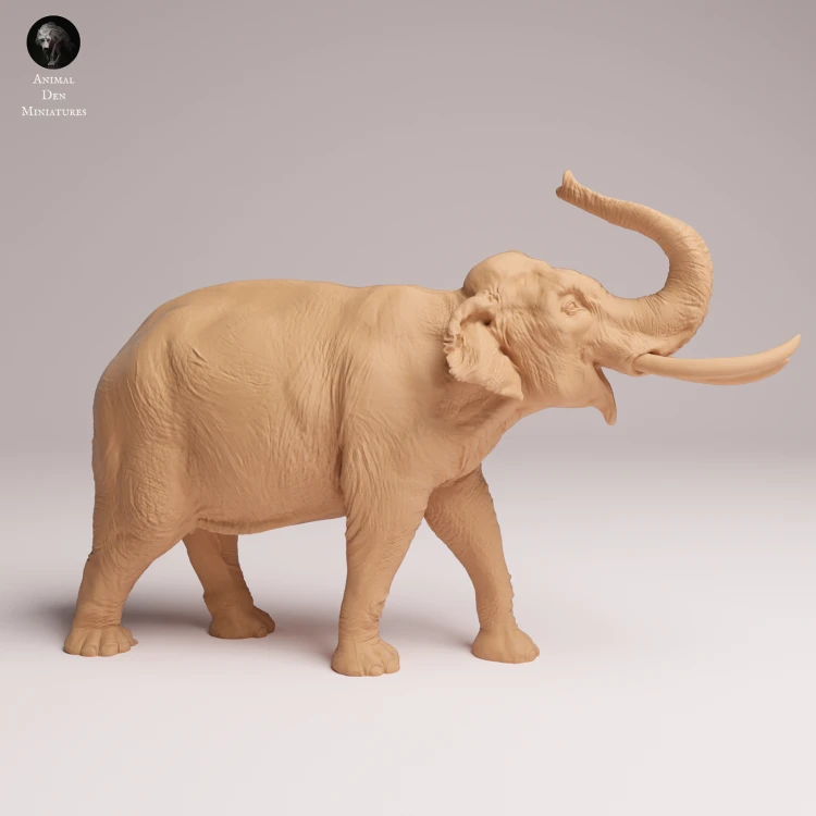 Indian Elephant Bull Showering - 2.png