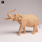 Indian Elephant Bull Showering - 3.png