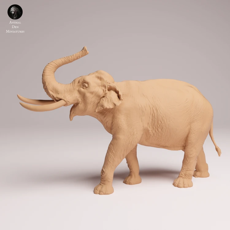 Indian Elephant Bull Showering - 3.png