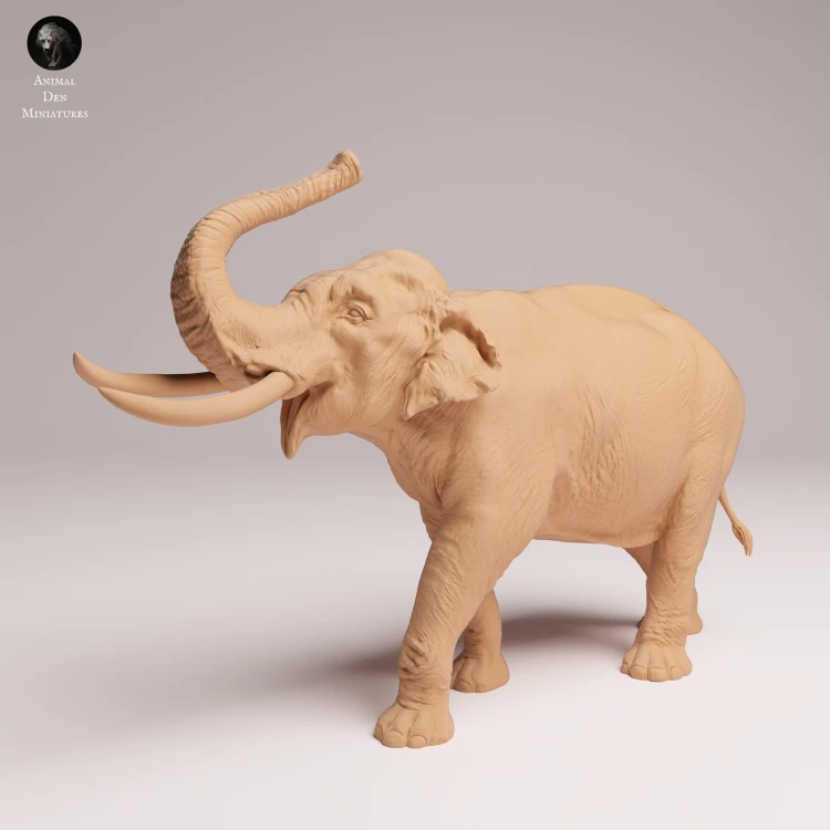 Indian Elephant Bull Showering - 4.png