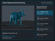 Indian Elephant Bull Showering - 5.png