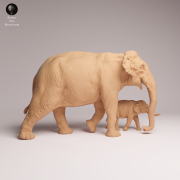 Indian Elephant Cow and Calf - 1.png