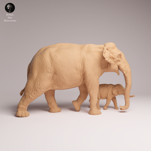 Indian Elephant Cow and Calf - 1.png