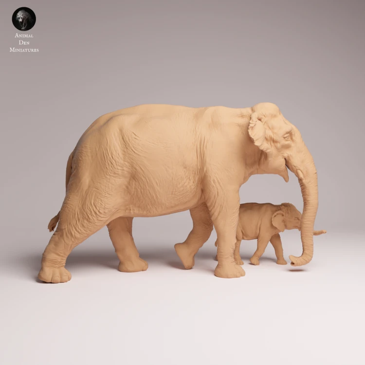 Indian Elephant Cow and Calf - 1.png