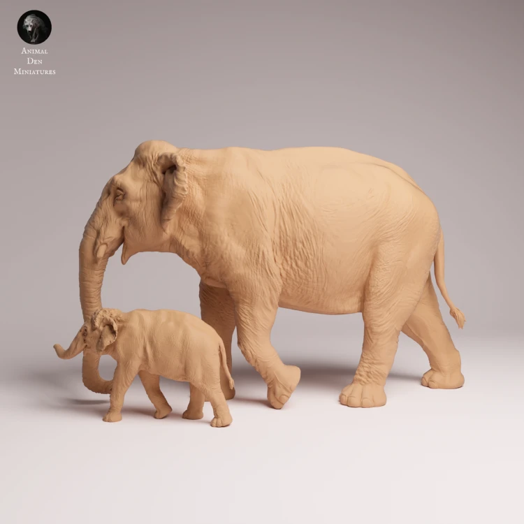 Indian Elephant Cow and Calf - 2.png