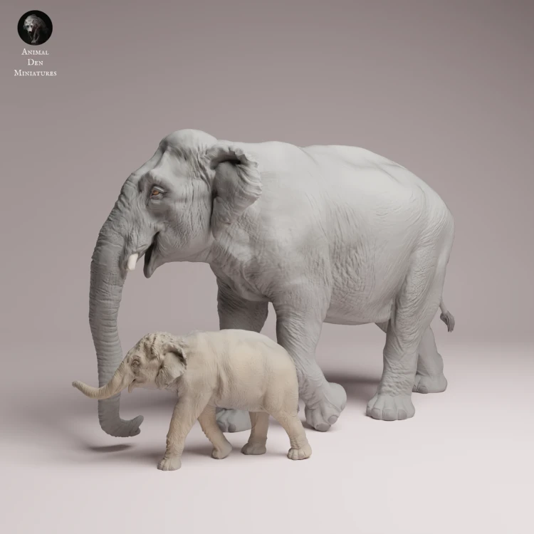 Indian Elephant Cow and Calf - 4.png