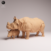 Indian Rhino Cow and Calf - 3.png