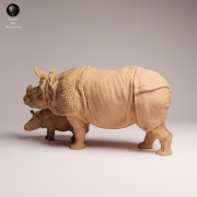 Indian Rhino Cow and Calf - 4.png