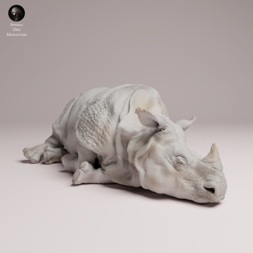 Indian Rhino Lying - 1.png