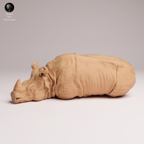Indian Rhino Lying - 2.png