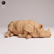 Indian Rhino Lying - 3.png