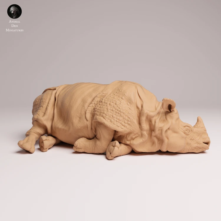 Indian Rhino Lying - 3.png