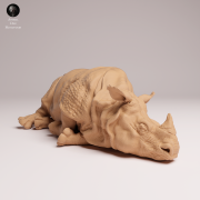 Indian Rhino Lying - 4.png