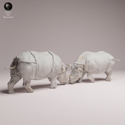 Indian Rhinos Fight - 1.png