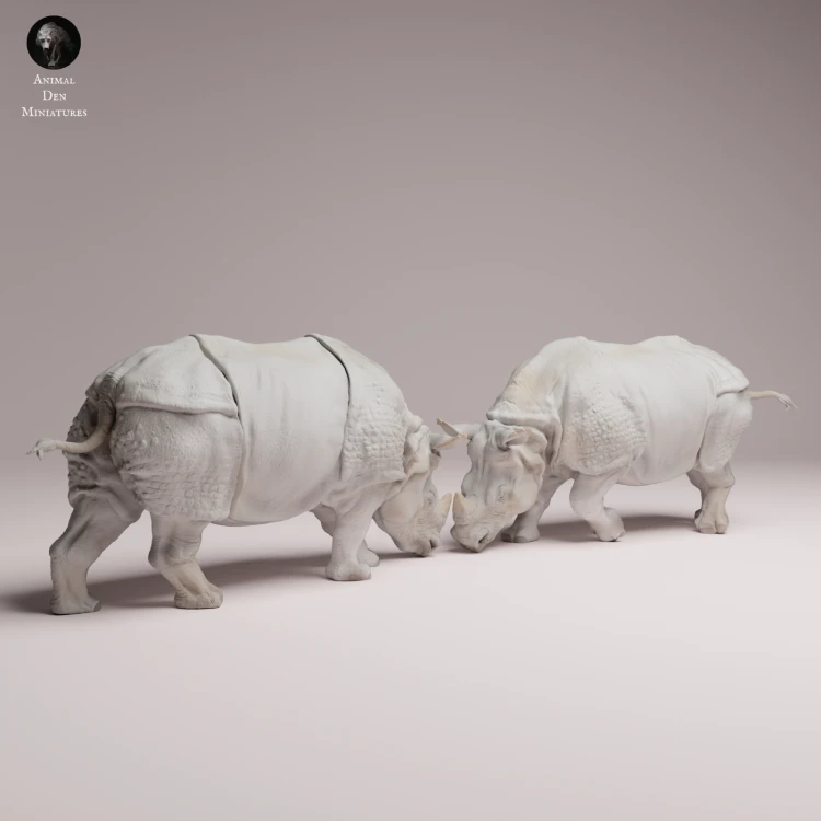 Indian Rhinos Fight - 1.png