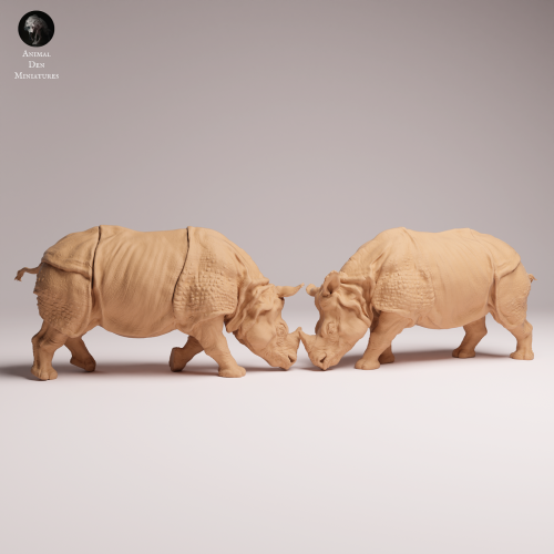Indian Rhinos Fight - 2.png