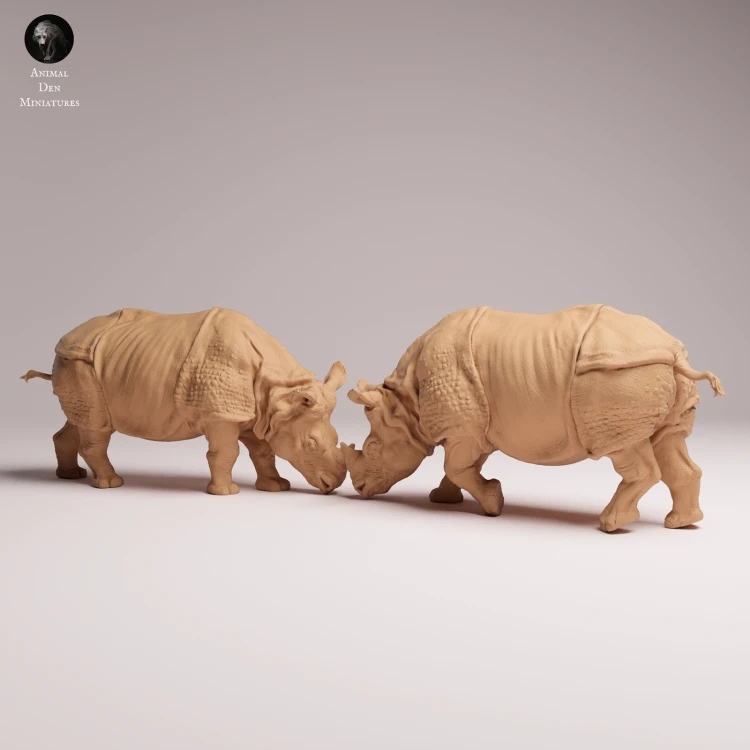 Indian Rhinos Fight - 3.png