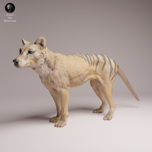 Thylacine - 1.png