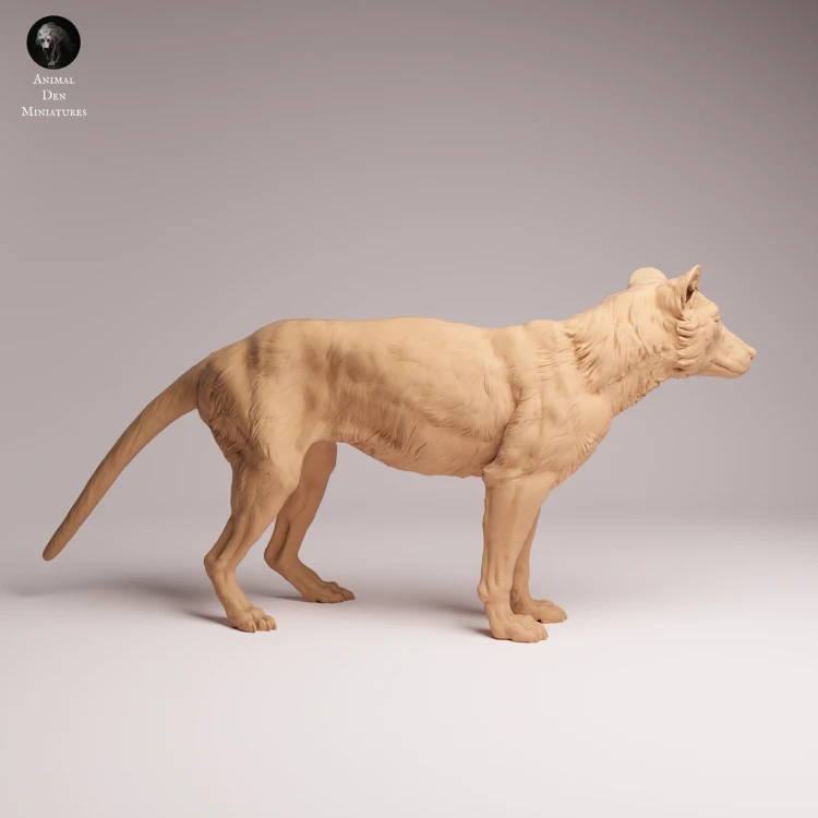 Thylacine - 2.png