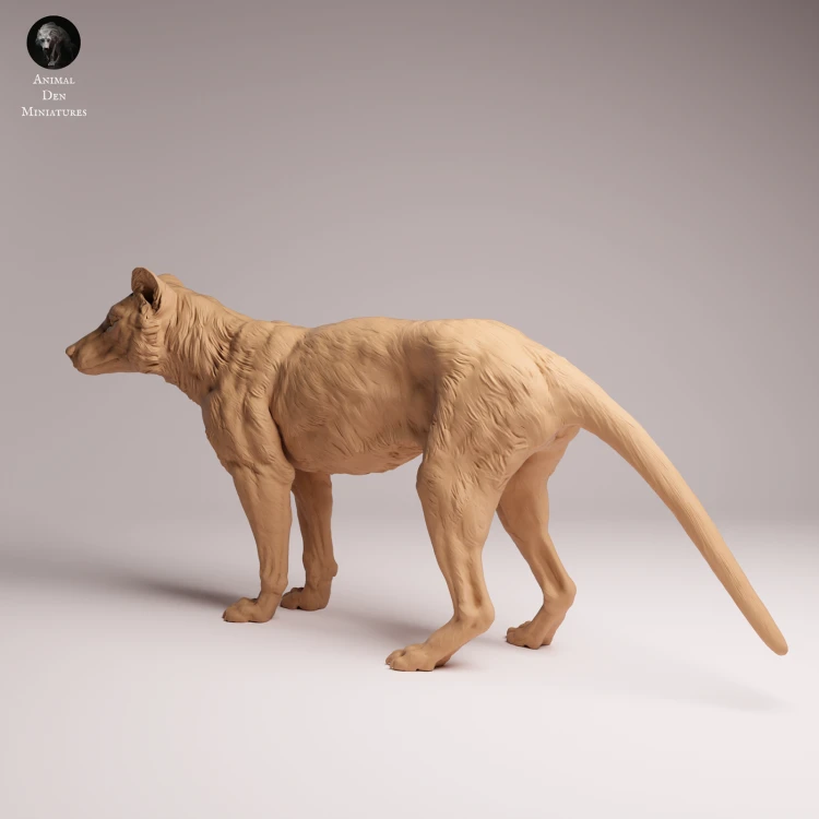 Thylacine - 3.png