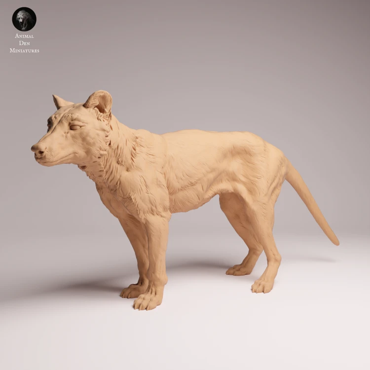 Thylacine - 4.png