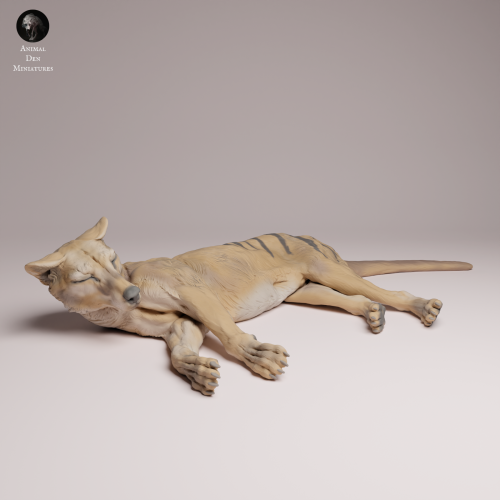 Thylacine Lying - 1.png