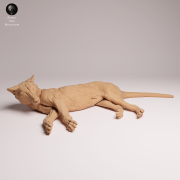 Thylacine Lying - 3.png