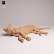 Thylacine Lying - 4.png