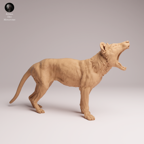 Thylacine Yawn - 2.png